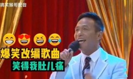 爆料搞怪音乐配音视频,搞怪音乐视频幕后揭秘
