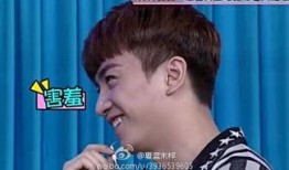 关智斌爆料赵丽颖视频,事件背后真相揭秘