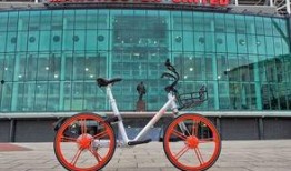 自行车在线观看,自行车在线观看之旅