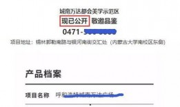 网友爆料新闻怎么写,最新热点事件深度解析